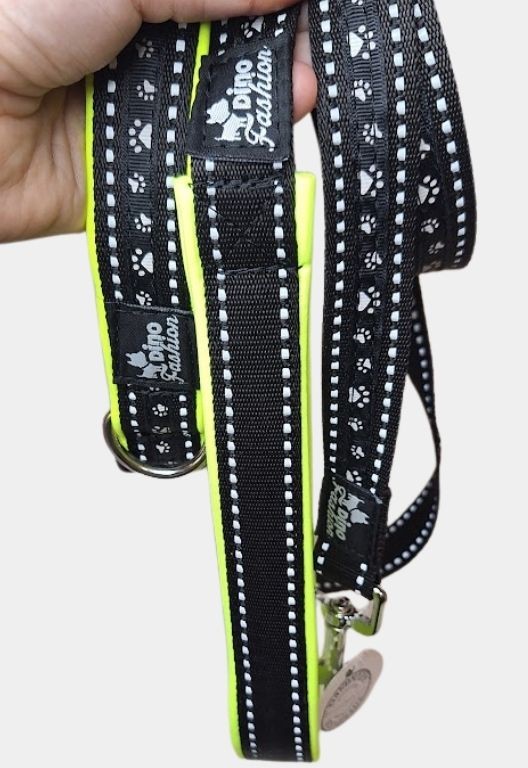 reflexní obojek a vodítko dinofashion